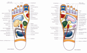 PhysiotherapieHirschmann Physiotherapie PulheimBrauweiler